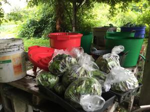 11732045_10204813963573155_2917176214246768400_o