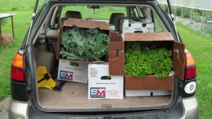 IMG_20150630_181224_312