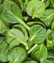 spinach
