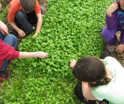 50e4f5_e2a0384b916e4c31aa48c012178b3102~mv2