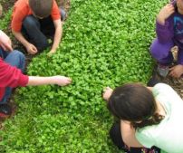 50e4f5_e2a0384b916e4c31aa48c012178b3102~mv2